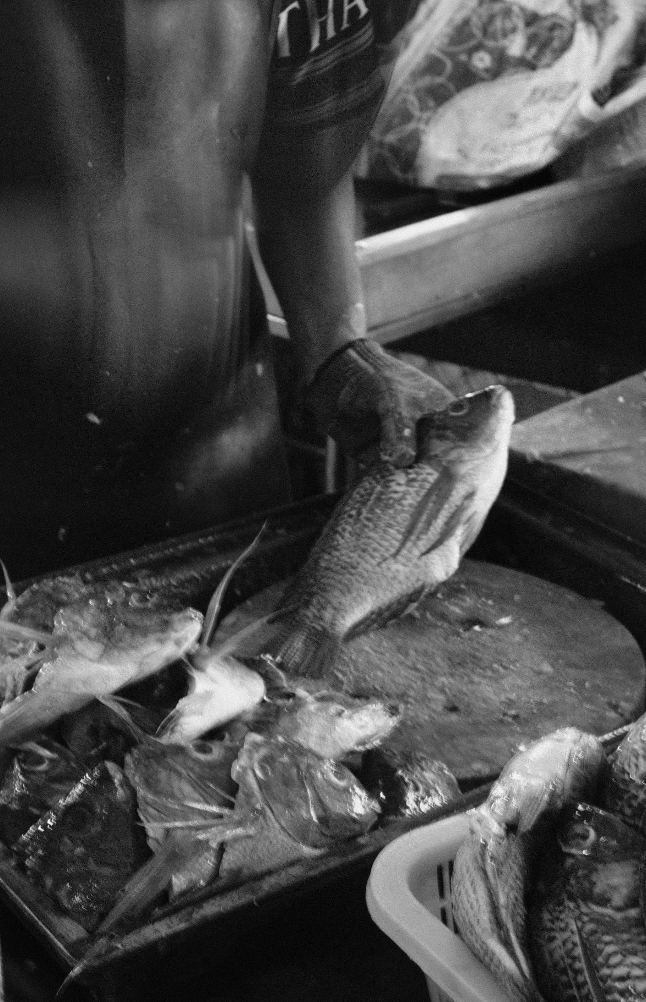 Le Poissonnier — general photo by Rechute, scored 7.9/10 by REVIEWR's AI critique
