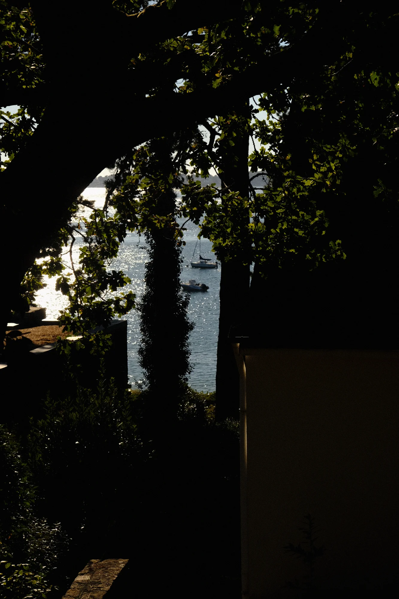 Vue à travers les arbres — general photo by Rechute, scored 6.1/10 by REVIEWR's AI critique