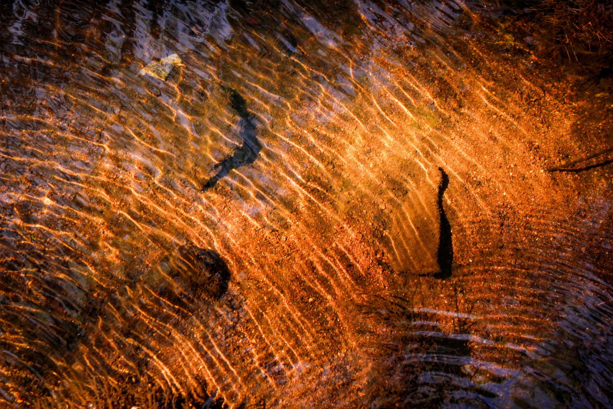 Golden Ripples — landscape photo by 54, scored 6.4/10 by REVIEWR's AI critique