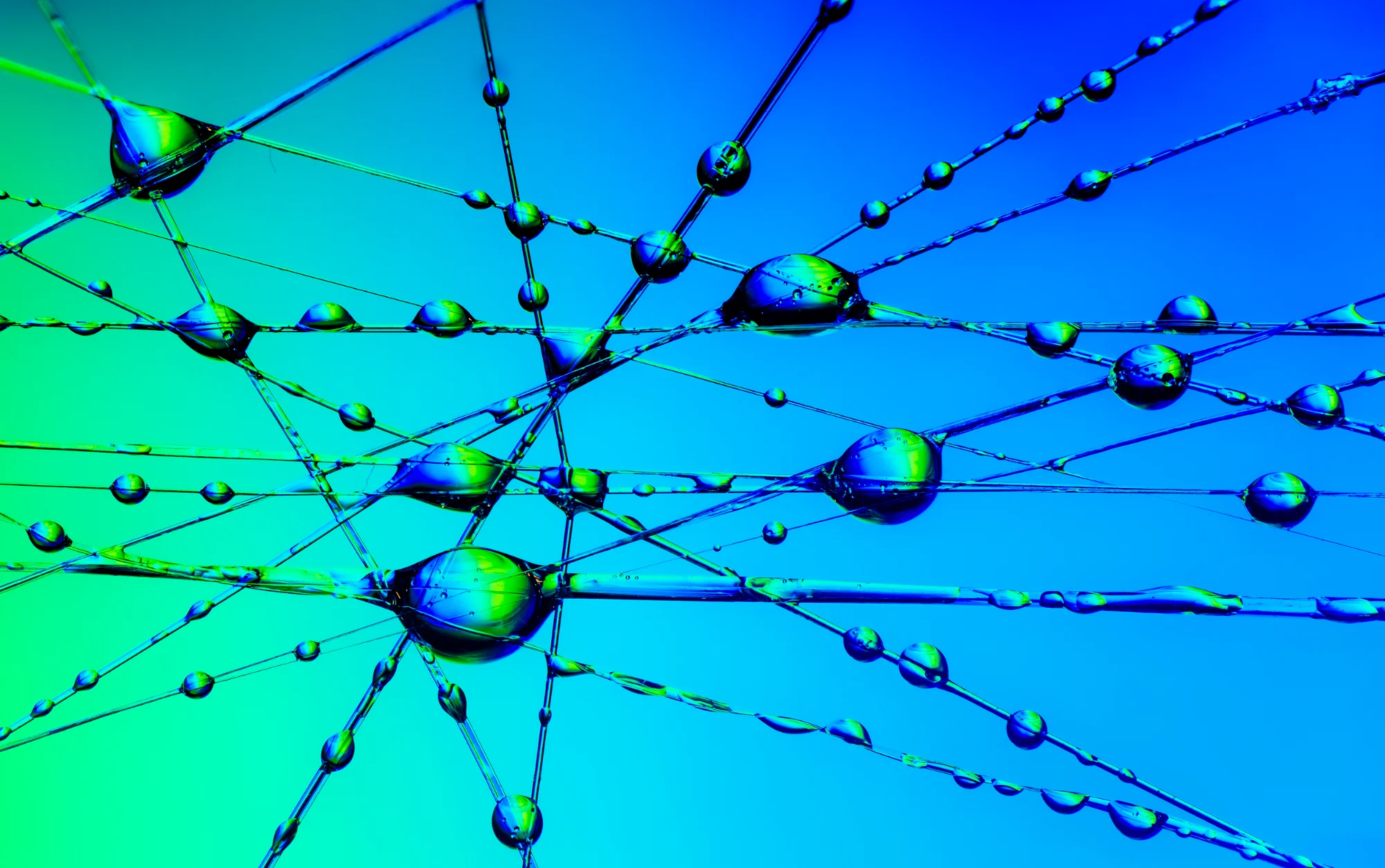 Neon Network — general photo by gary, scored 8.1/10 by REVIEWR's AI critique