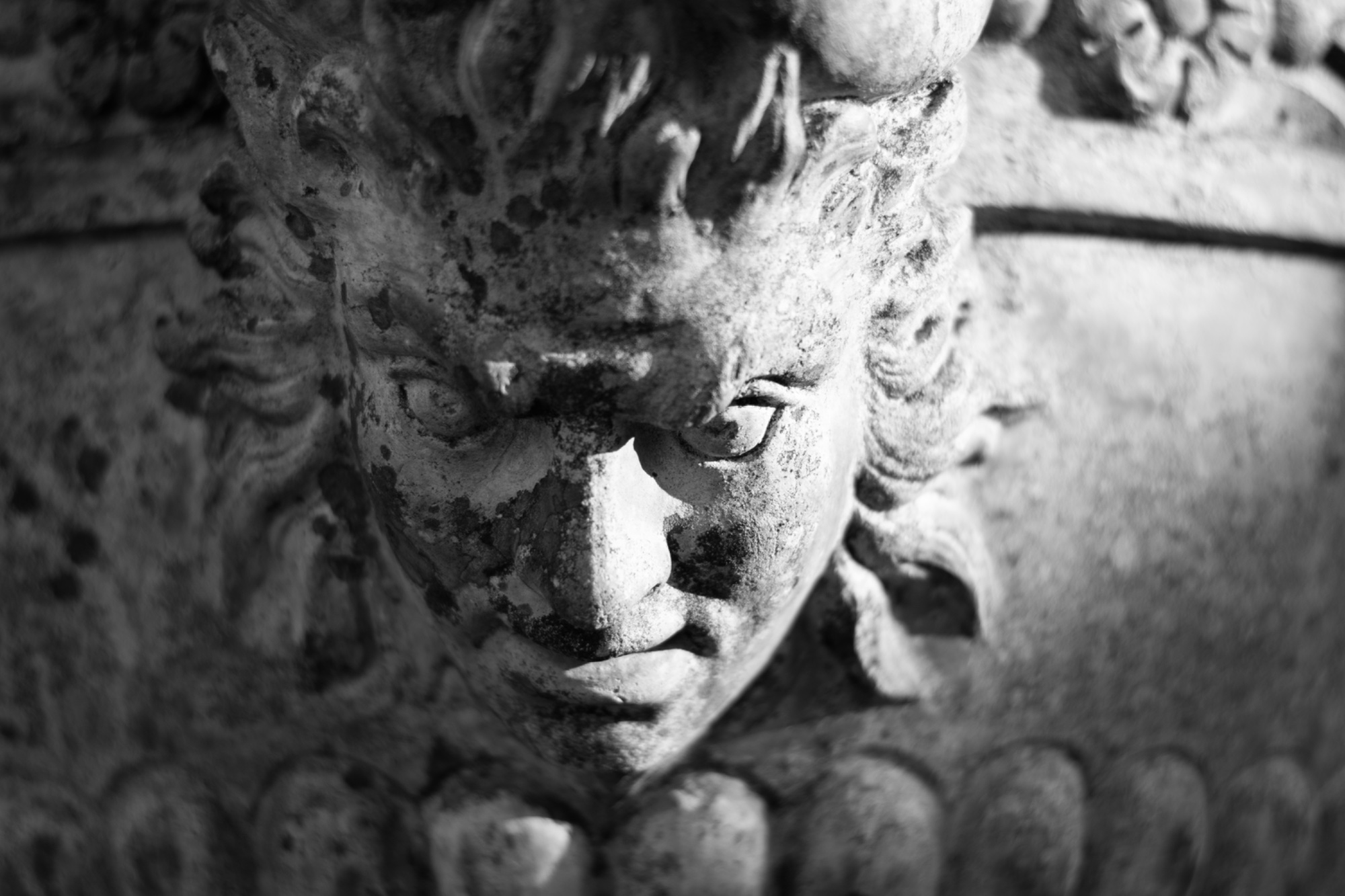 Satyr’s Stare — general photo by Elm, scored 7.1/10 by REVIEWR's AI critique