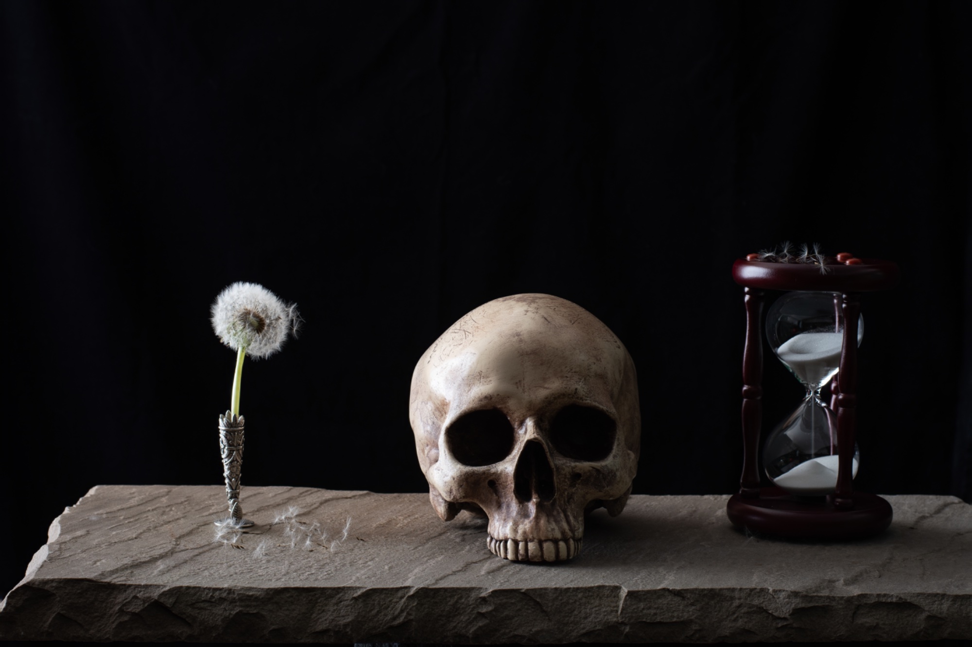 π― Still Life - Vanitas β general photo by Elm, scored 8.2/10 by REVIEWR's AI critique