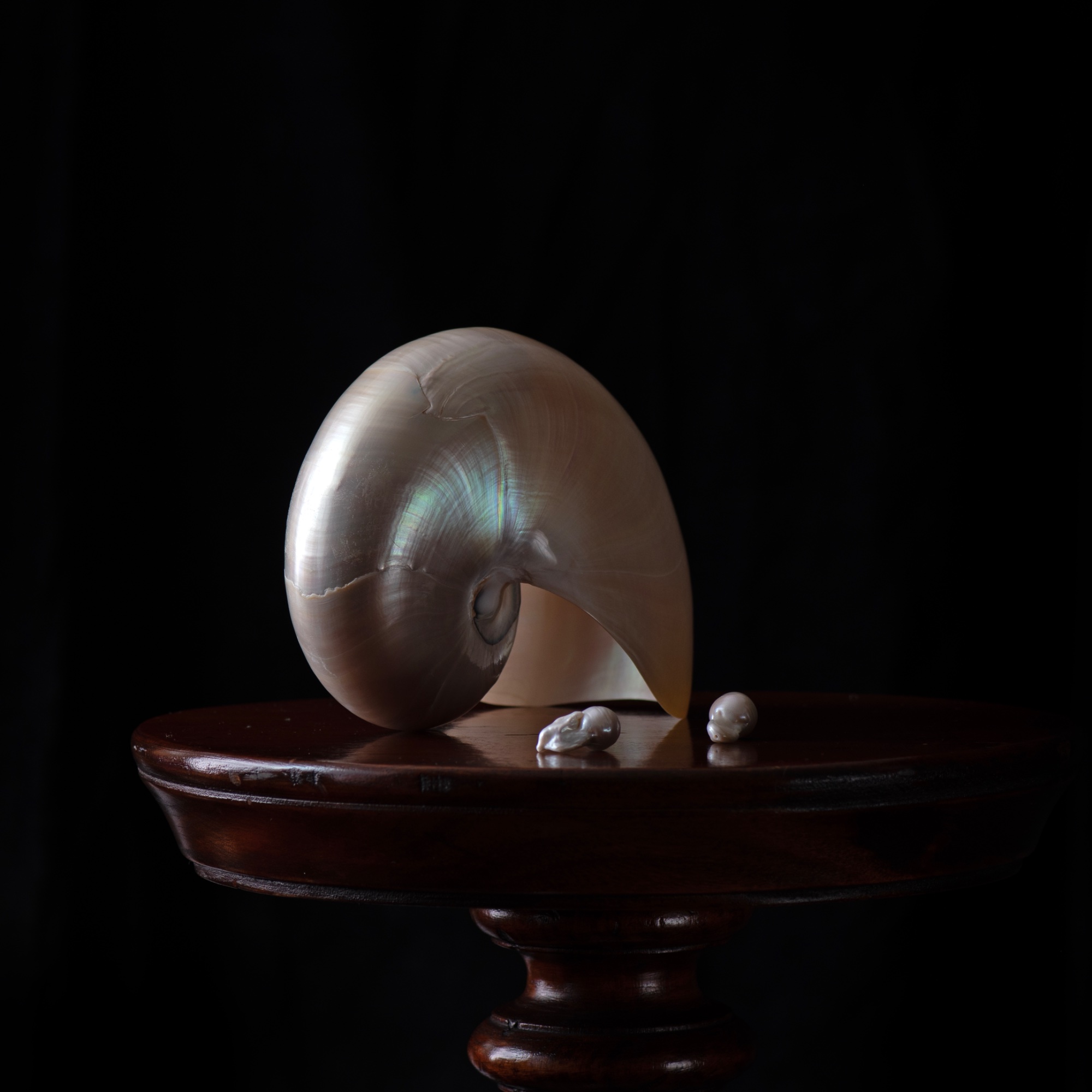 Illume — general photo by Elm, scored 7.7/10 by REVIEWR's AI critique