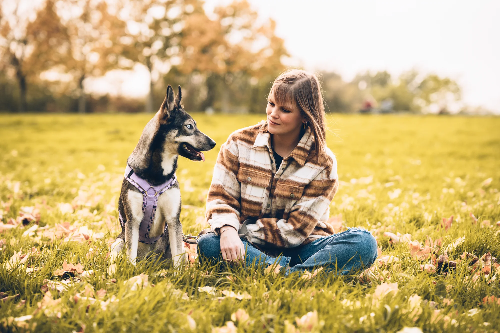 Tala - The Husky — portrait photo by Deni Dedic, scored 7.5/10 by REVIEWR's AI critique