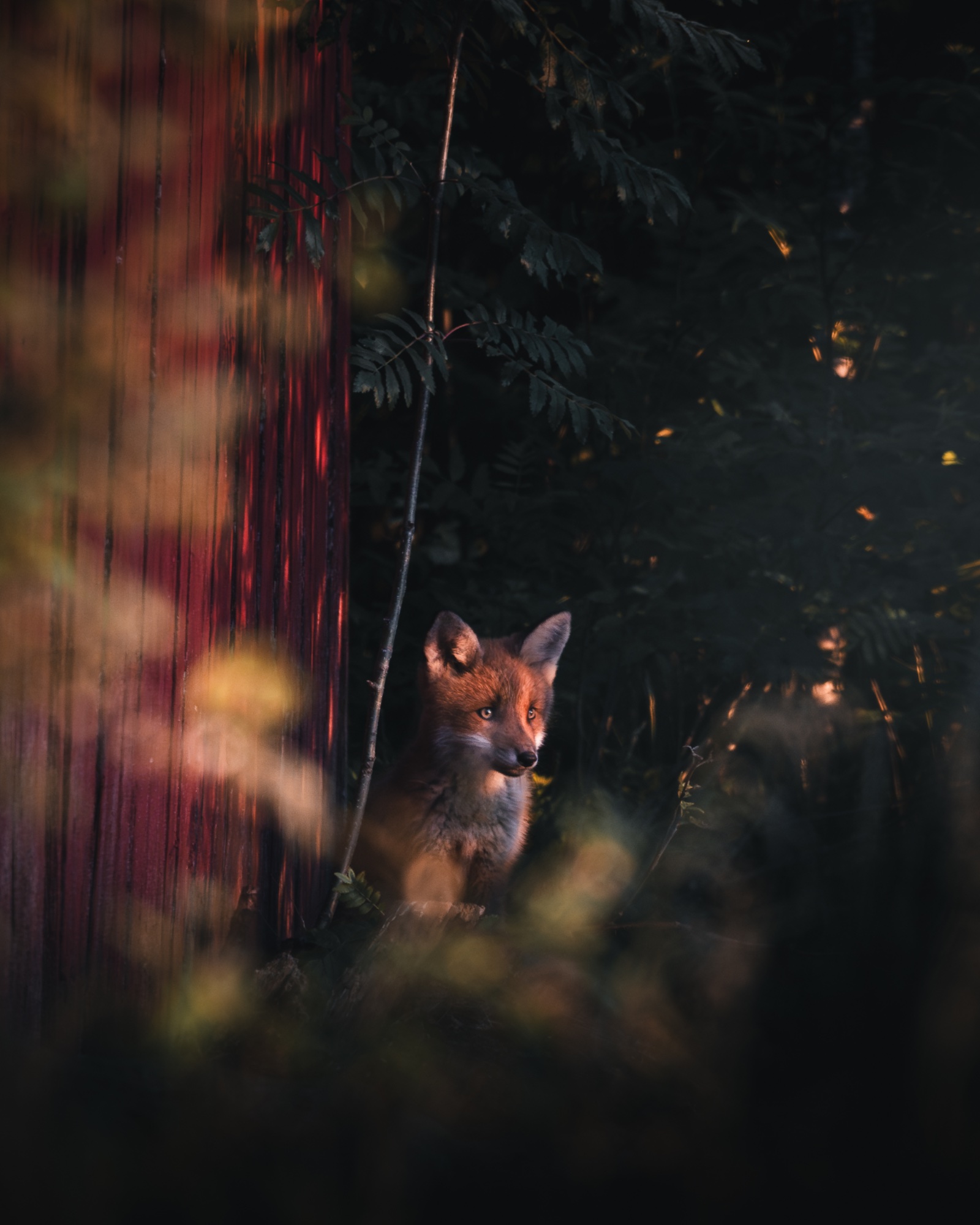 General photo by Jesper Lundberg, scored 8.8/10 by REVIEWR's AI critique