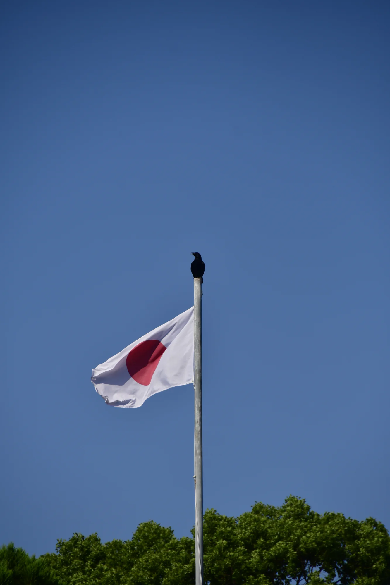 統治 — street photo by kyomu, scored 7.9/10 by REVIEWR's AI critique