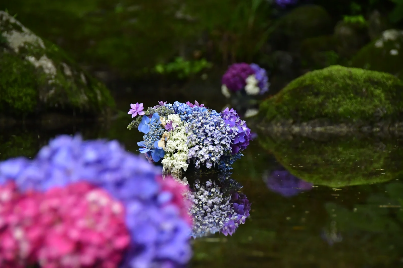π― Shallow Depth - ι‘θ±ζ°΄ζ β general photo by kyomu, scored 7.8/10 by REVIEWR's AI critique