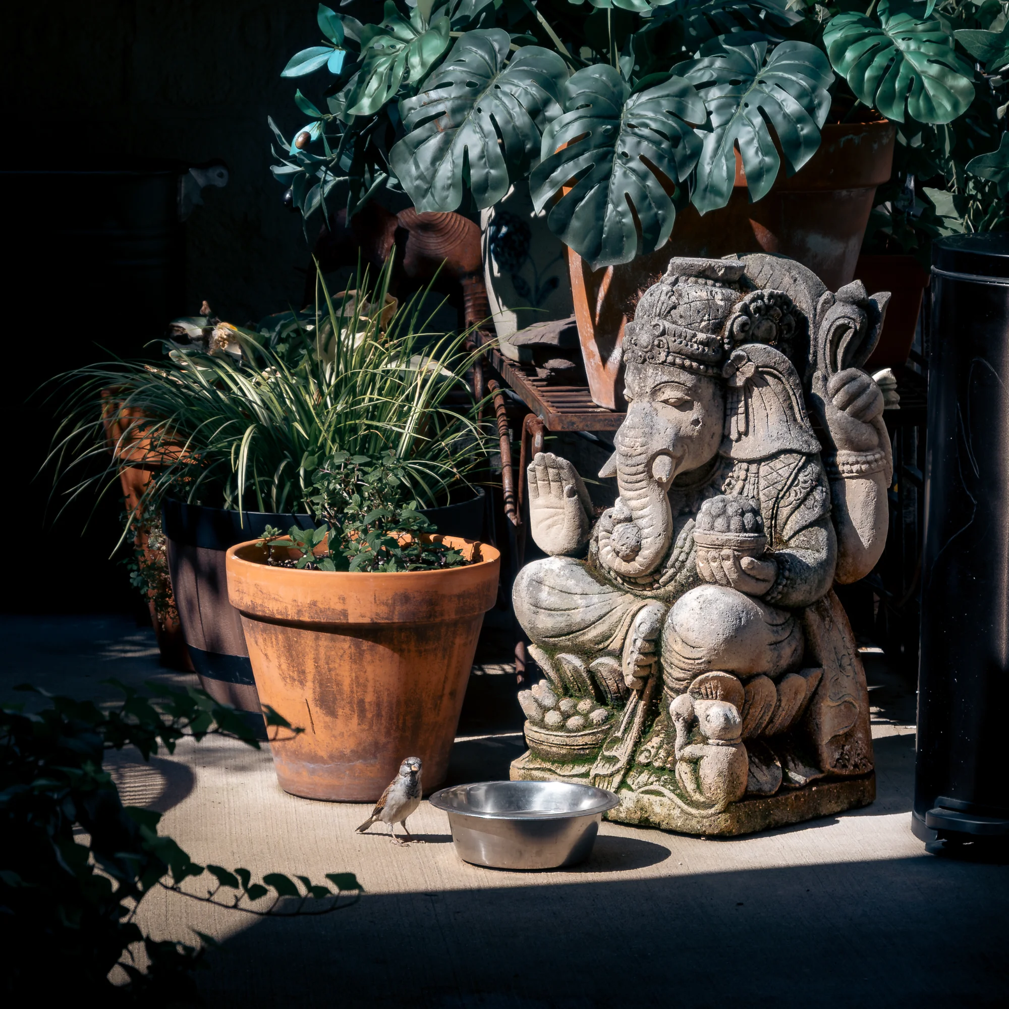 Street photo by Iser, scored 6.8/10 by REVIEWR's AI critique