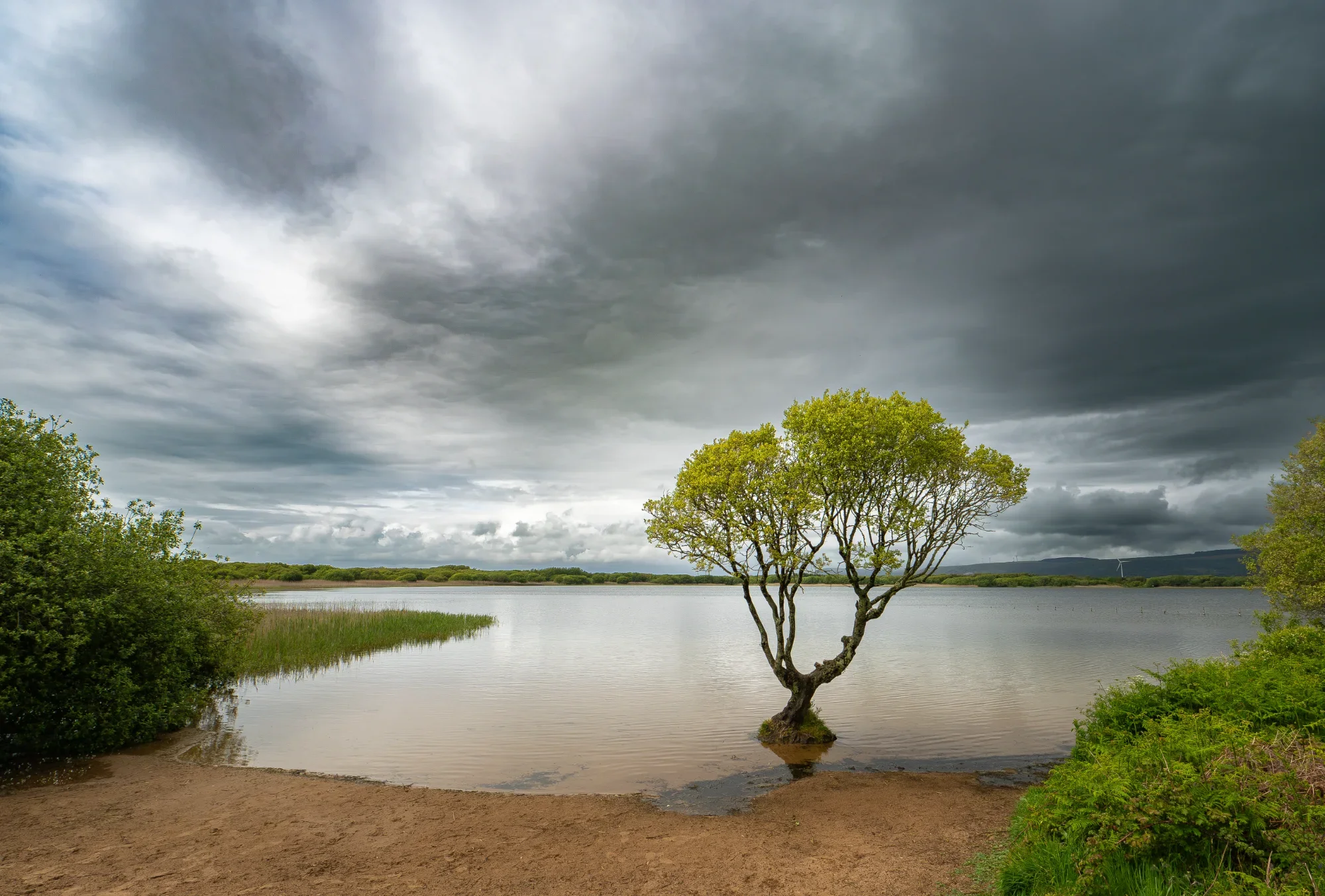 General photo by Jeroen, scored 7.9/10 by REVIEWR's AI critique