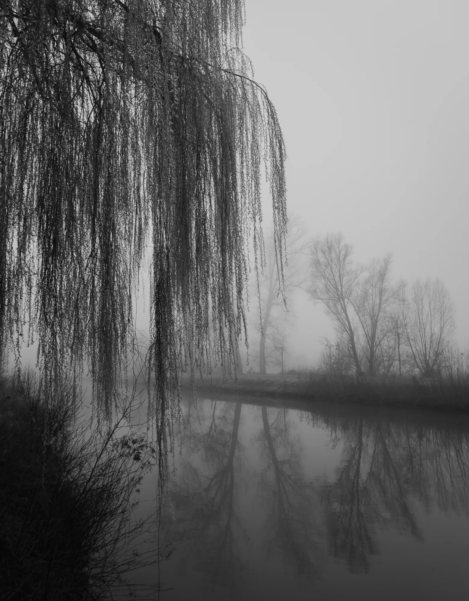 General photo by Jeroen, scored 8.2/10 by REVIEWR's AI critique
