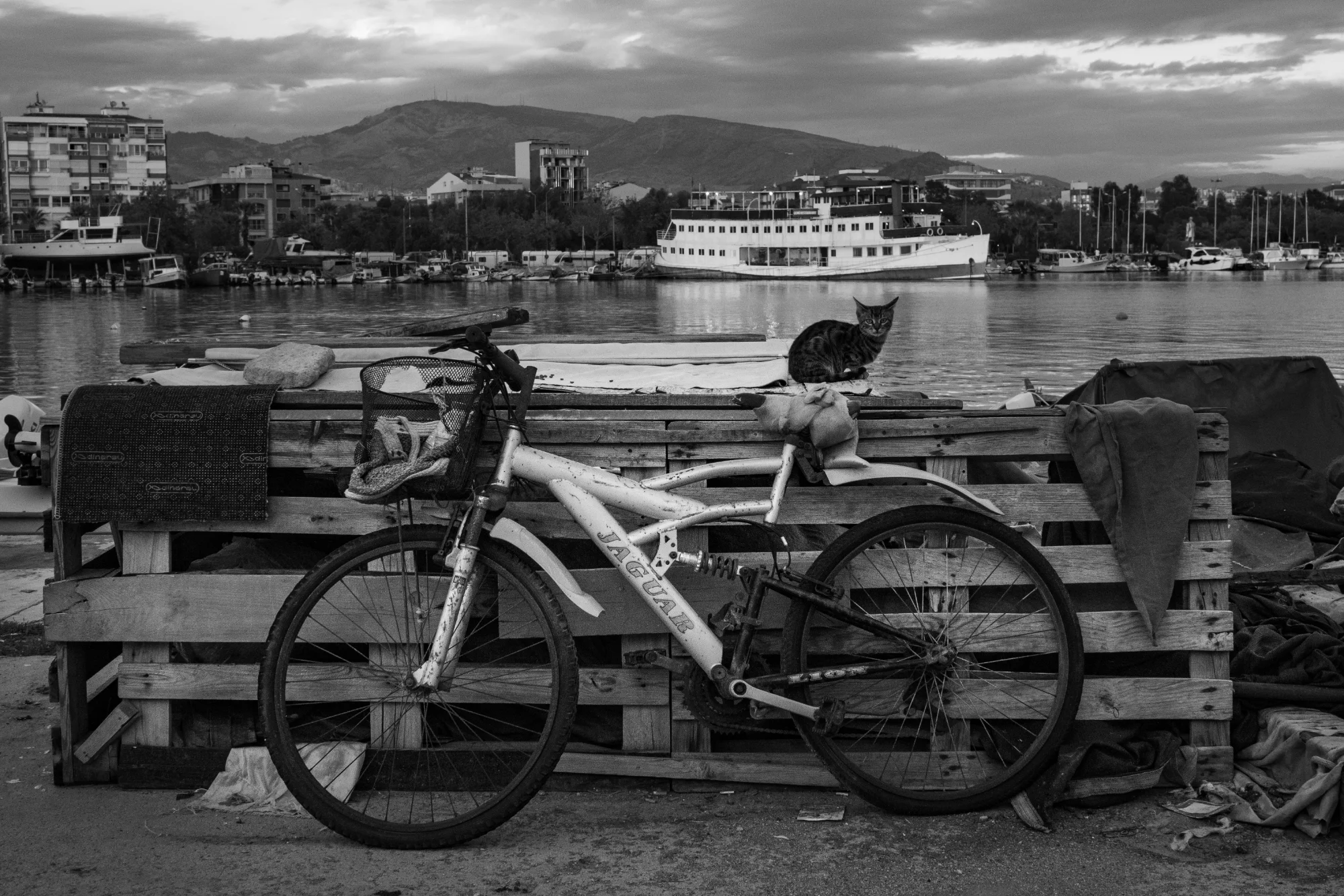 Limanın Bekçisi — street photo by Oral, scored 7.5/10 by REVIEWR's AI critique