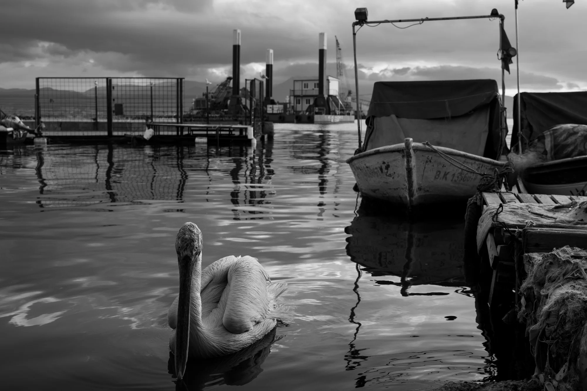 Street photo by Oral, scored 8.0/10 by REVIEWR's AI critique