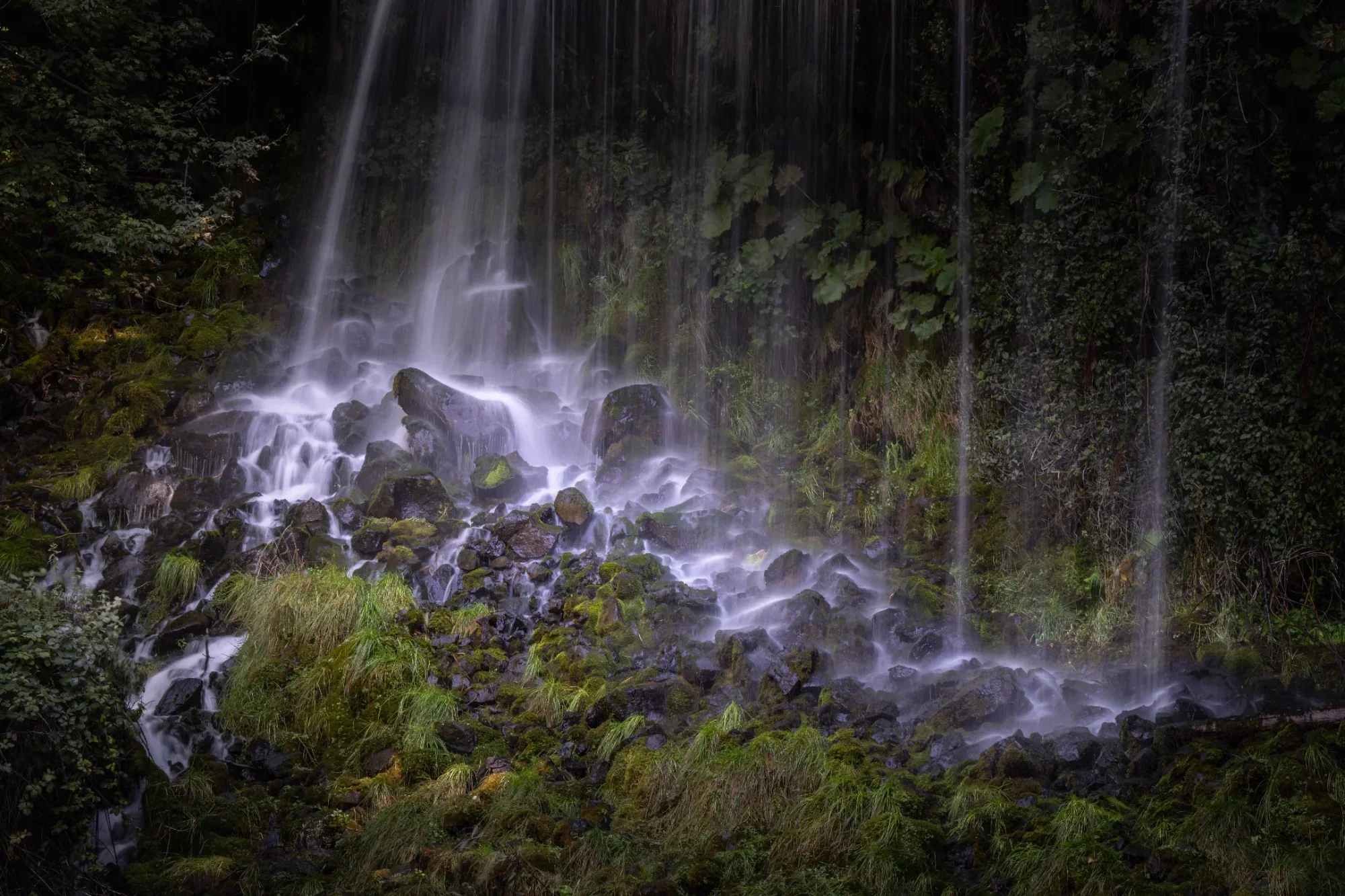 Landscape photo by isaac, scored 7.3/10 by REVIEWR's AI critique