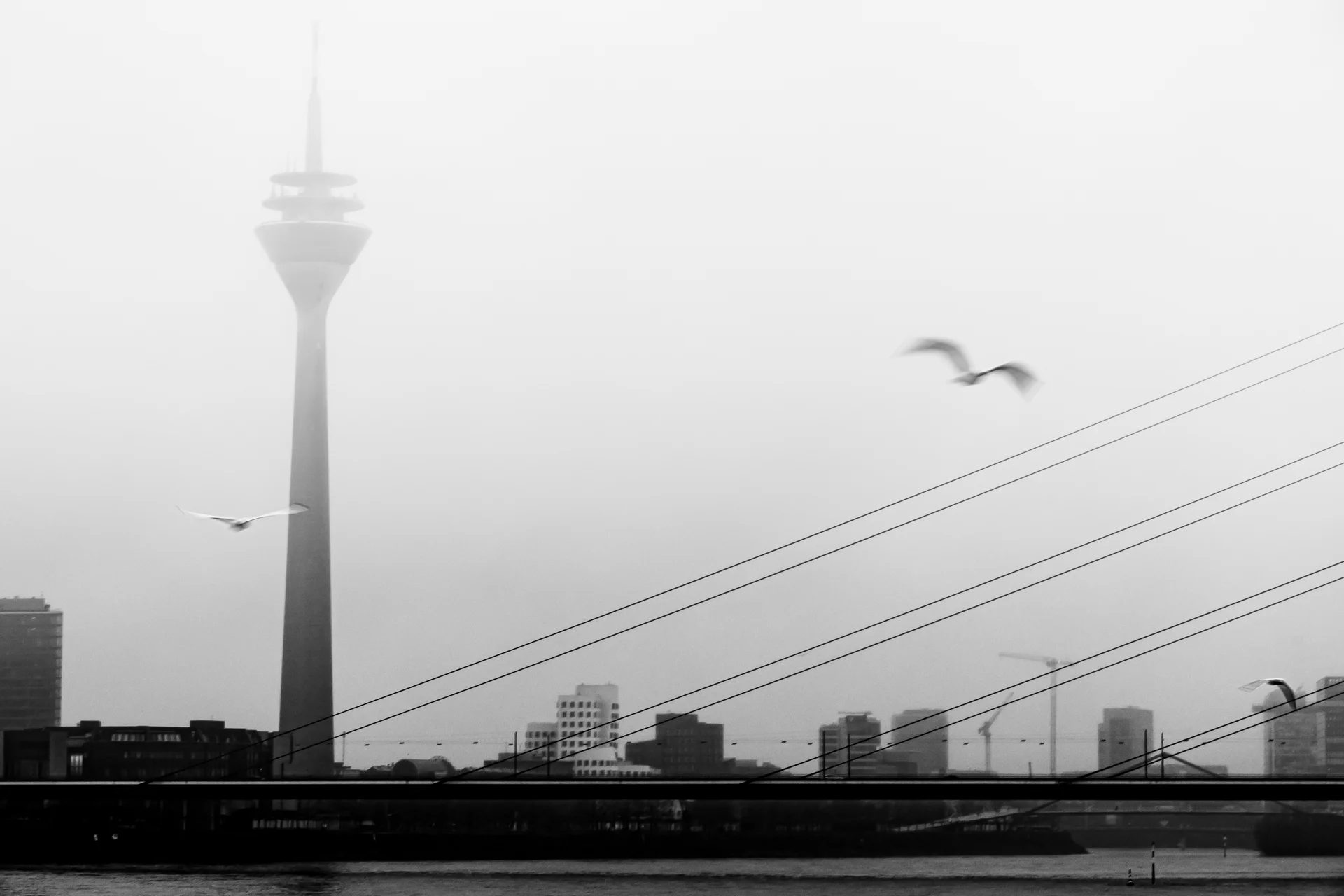 Foggy City Silhouette — general photo by sTv, scored 8.3/10 by REVIEWR's AI critique