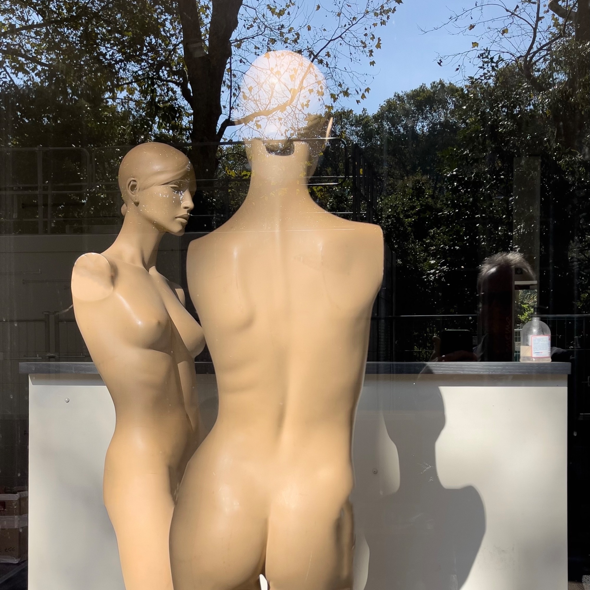Reflected Mind — general photo by Les Zackler, scored 7.4/10 by REVIEWR's AI critique