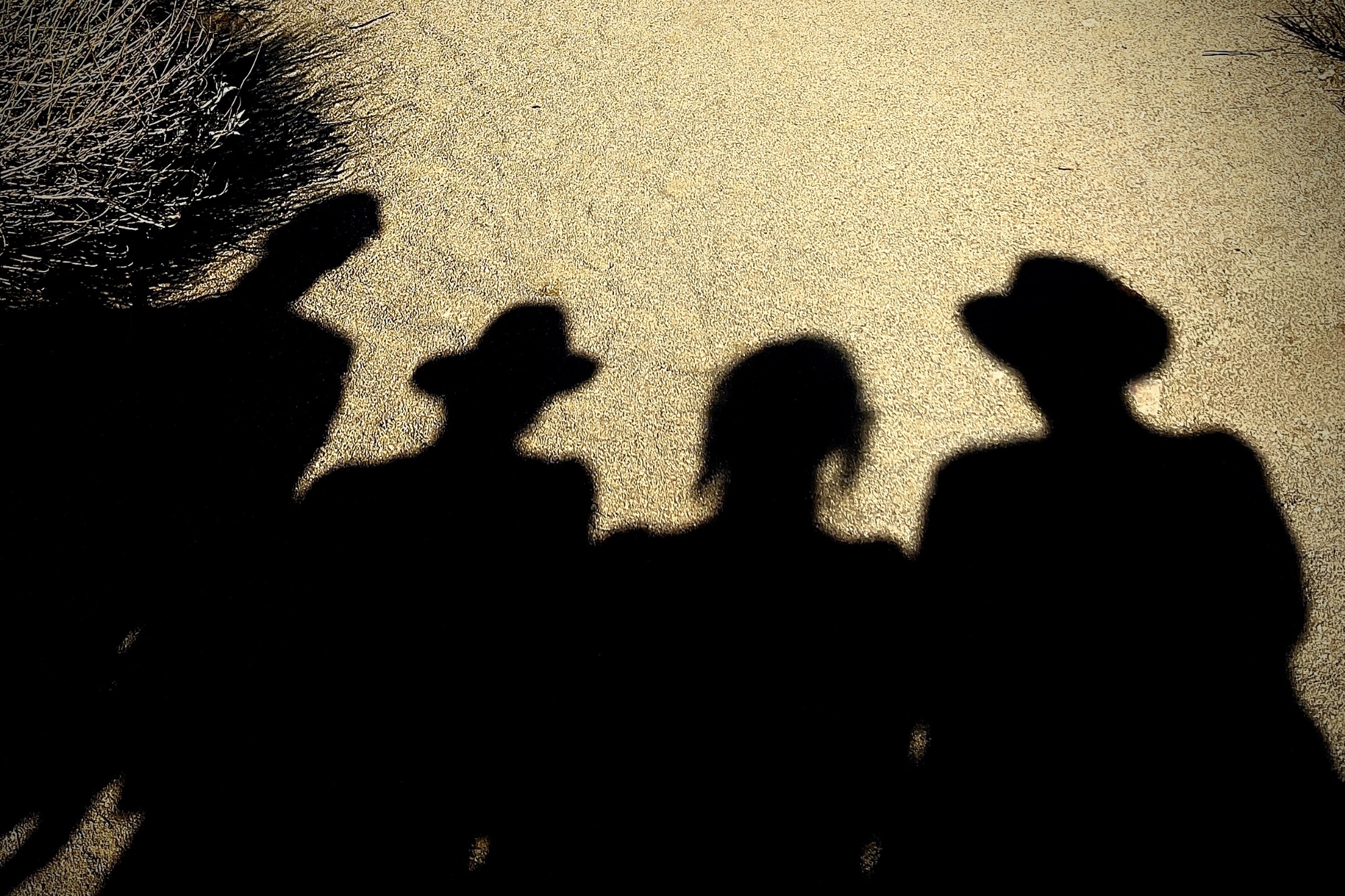 🎯 Shadow Play — general photo by Les Zackler, scored 7.1/10 by REVIEWR's AI critique