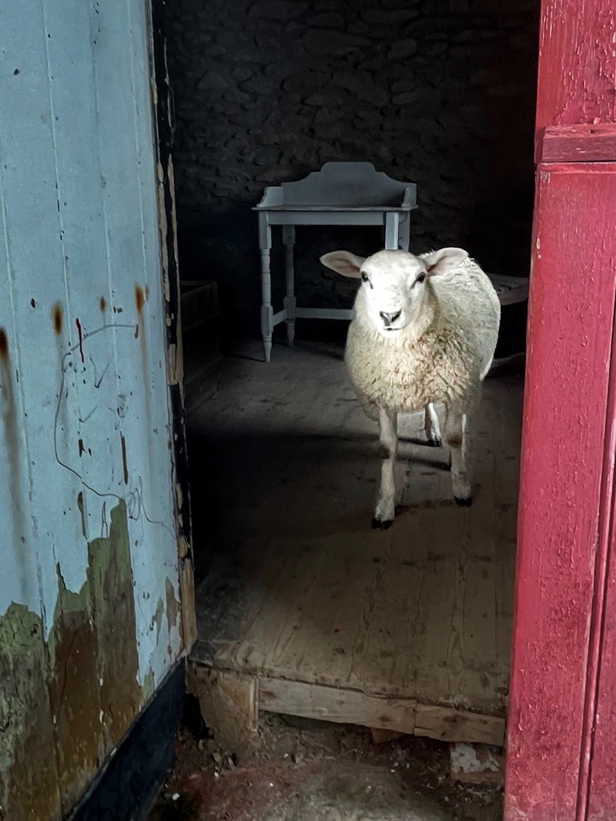 The Unexpected Guest — general photo by Les Zackler, scored 7.7/10 by REVIEWR's AI critique