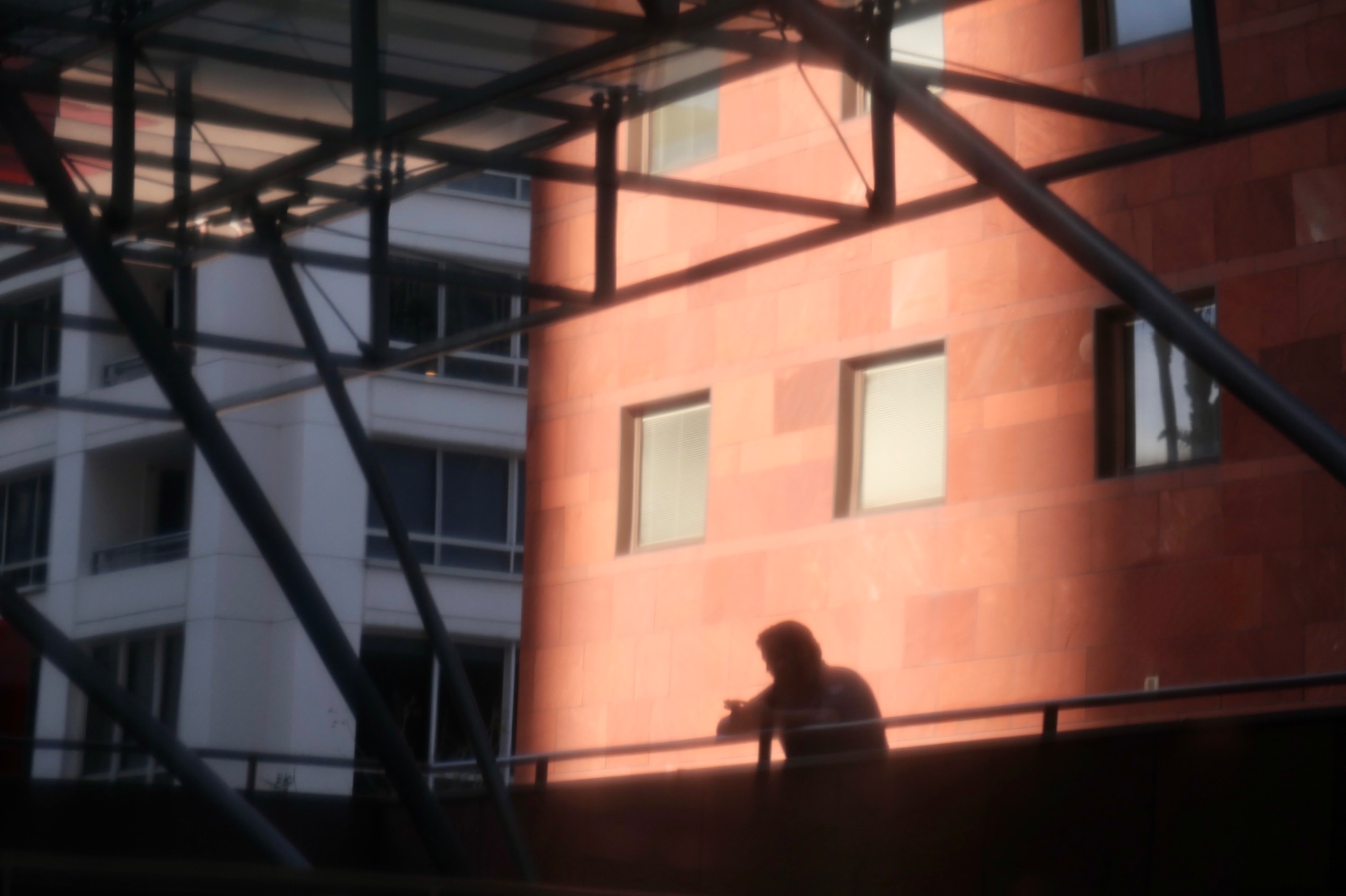 🎯 Shadow Play — general photo by Les Zackler, scored 8.1/10 by REVIEWR's AI critique