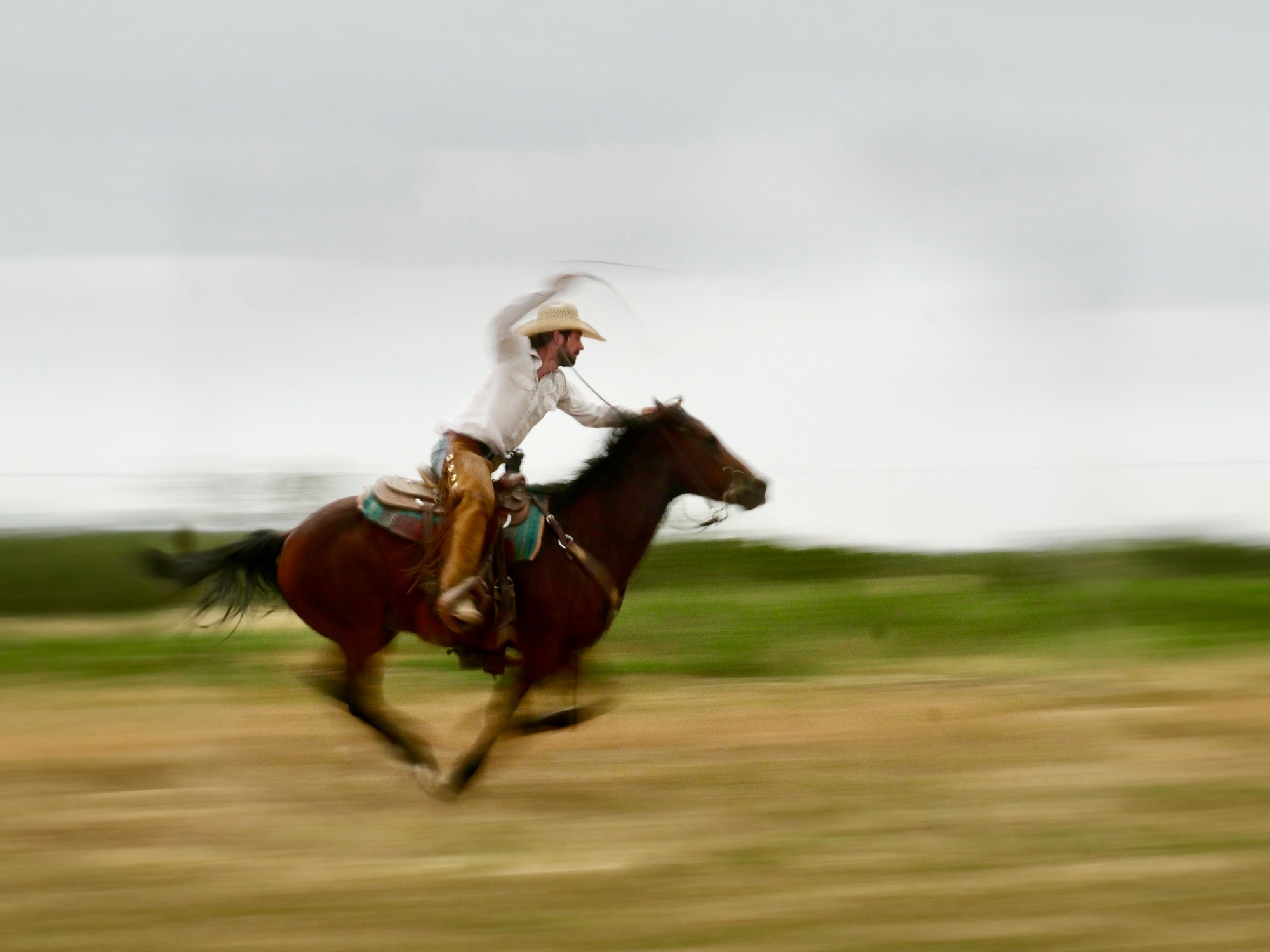 🎯 Panning Shot — general photo by Les Zackler, scored 7.3/10 by REVIEWR's AI critique