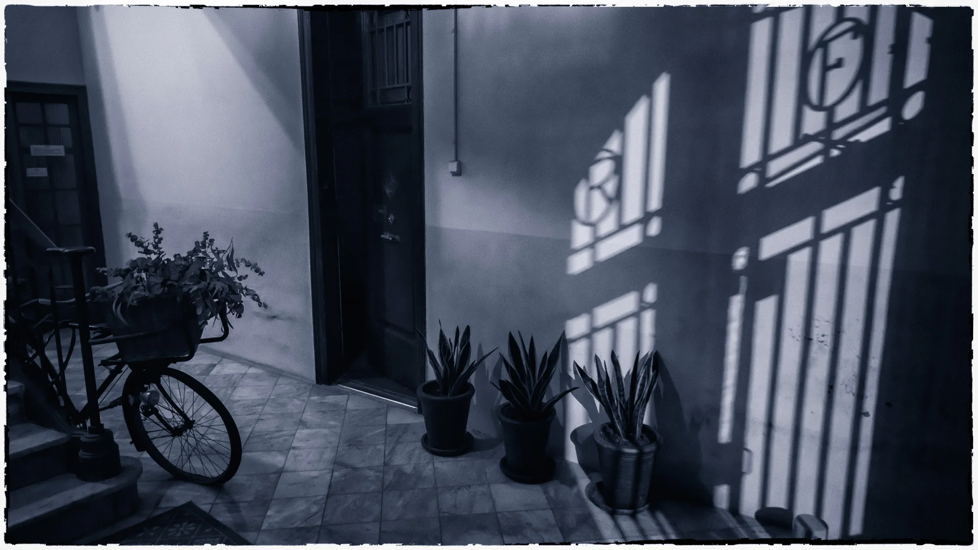Ombres Bleues dans la Cour — general photo by bornefontaine, scored 6.2/10 by REVIEWR's AI critique