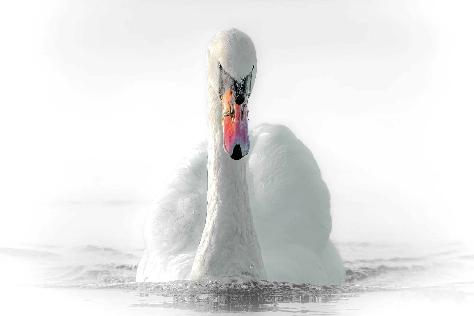 Quiet Approach — general photo by Eric, scored 5.7/10 by REVIEWR's AI critique