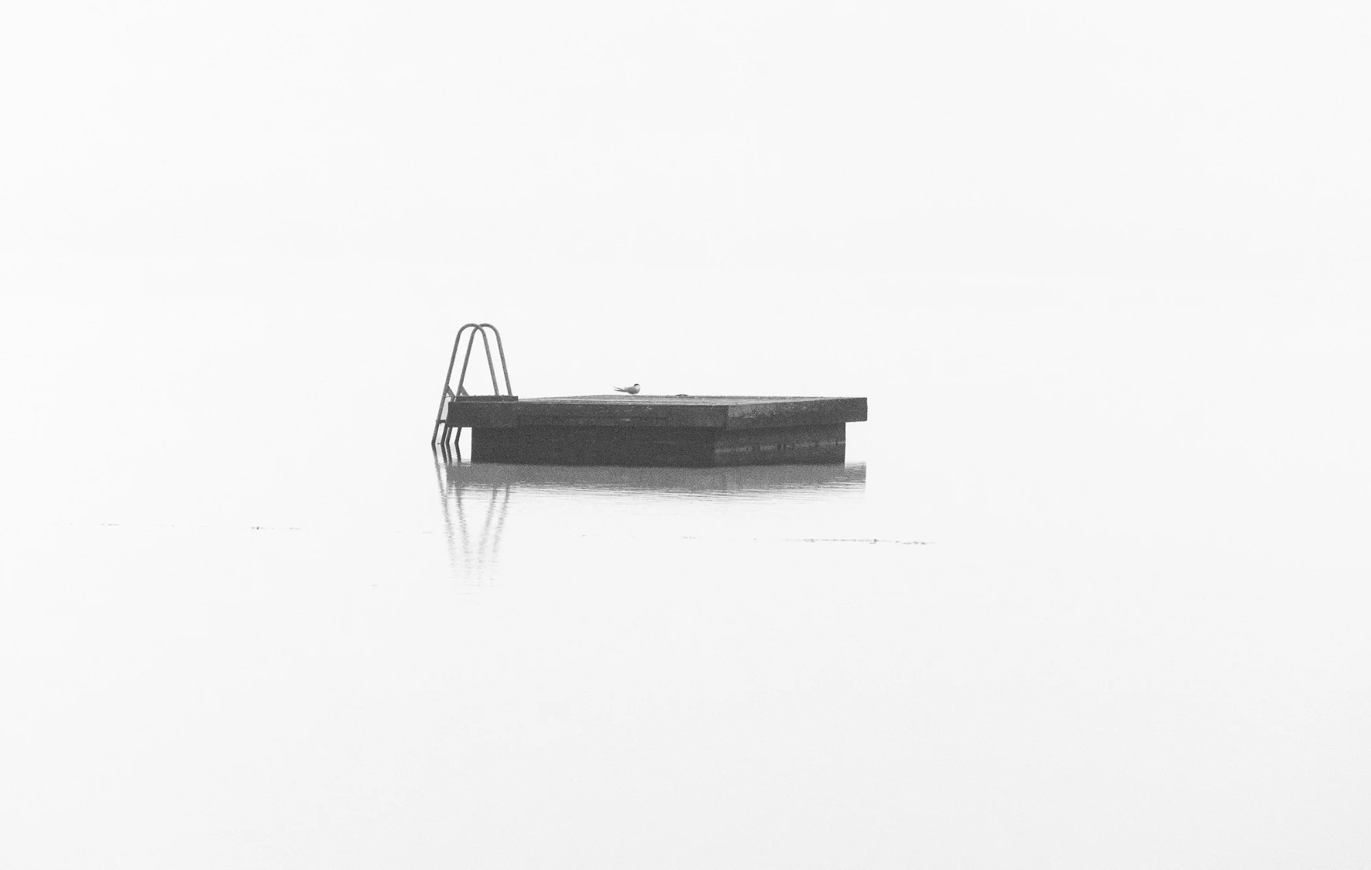Alone — general photo by Eric, scored 7.2/10 by REVIEWR's AI critique