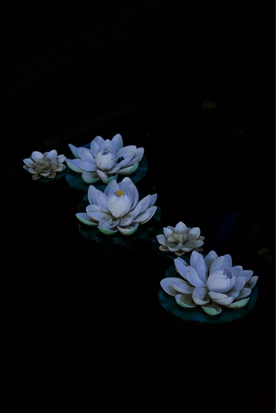 A Lillies Rest — landscape photo by blake, scored 6.7/10 by REVIEWR's AI critique