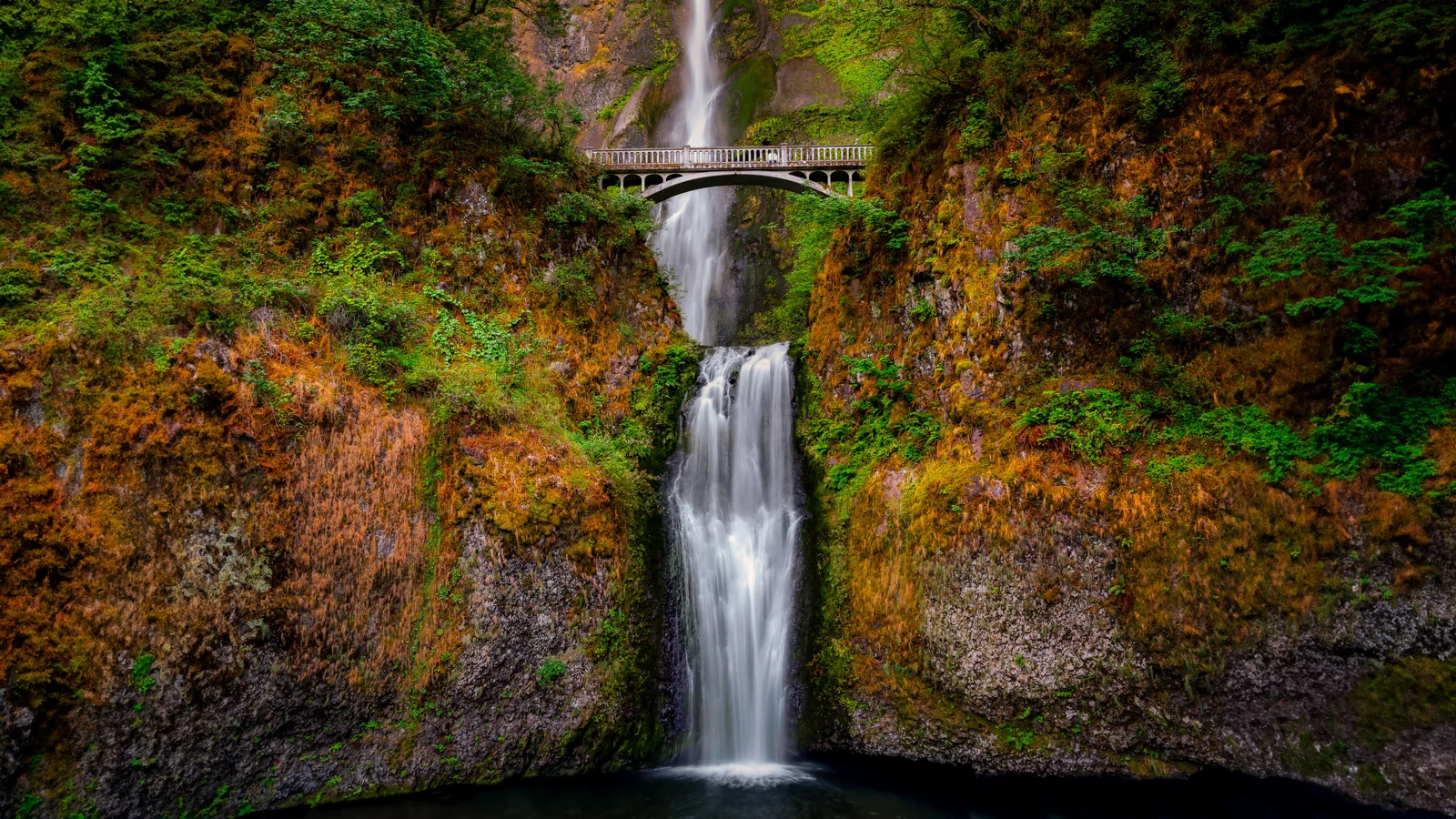 Landscape photo by Reggie, scored 5.3/10 by REVIEWR's AI critique